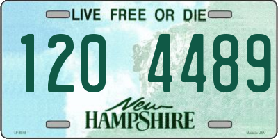 NH license plate 1204489