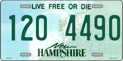 NH license plate 1204490