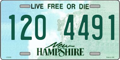 NH license plate 1204491