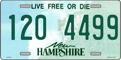 NH license plate 1204499