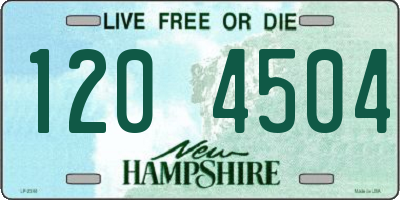 NH license plate 1204504