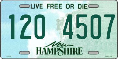 NH license plate 1204507