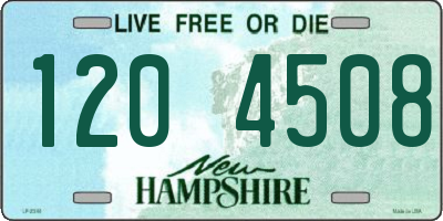 NH license plate 1204508