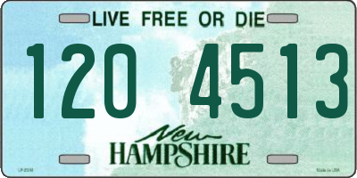 NH license plate 1204513