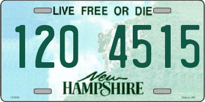 NH license plate 1204515