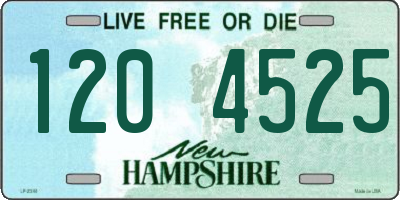 NH license plate 1204525
