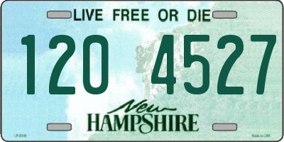 NH license plate 1204527