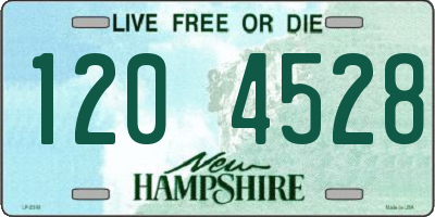NH license plate 1204528