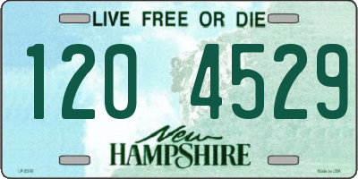 NH license plate 1204529