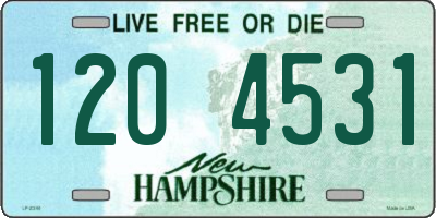 NH license plate 1204531