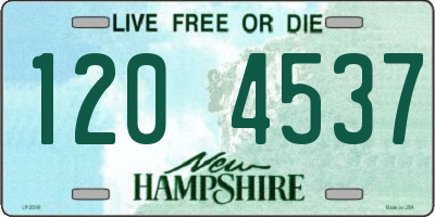 NH license plate 1204537