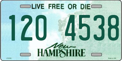 NH license plate 1204538