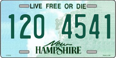 NH license plate 1204541