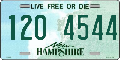 NH license plate 1204544