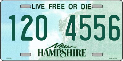 NH license plate 1204556