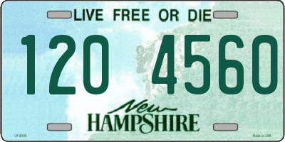 NH license plate 1204560