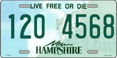 NH license plate 1204568
