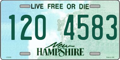 NH license plate 1204583
