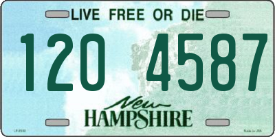 NH license plate 1204587