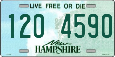 NH license plate 1204590