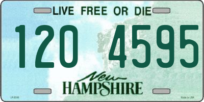 NH license plate 1204595