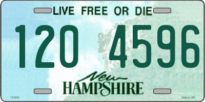 NH license plate 1204596