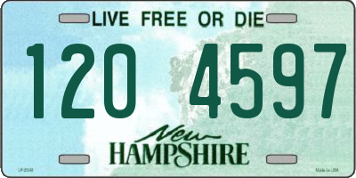 NH license plate 1204597