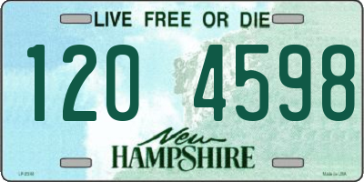NH license plate 1204598