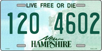 NH license plate 1204602