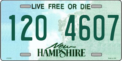 NH license plate 1204607