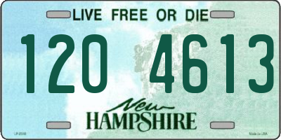 NH license plate 1204613