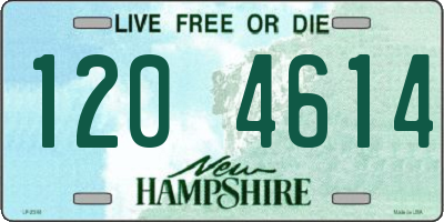 NH license plate 1204614