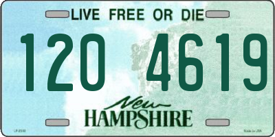 NH license plate 1204619