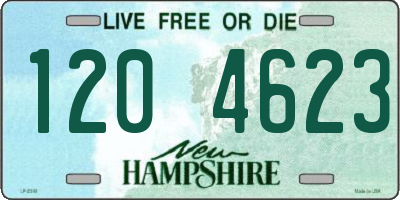 NH license plate 1204623