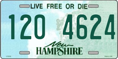NH license plate 1204624