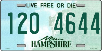NH license plate 1204644