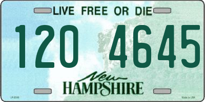 NH license plate 1204645