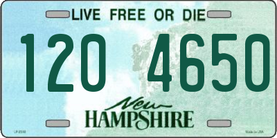 NH license plate 1204650