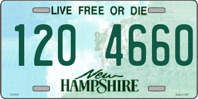 NH license plate 1204660