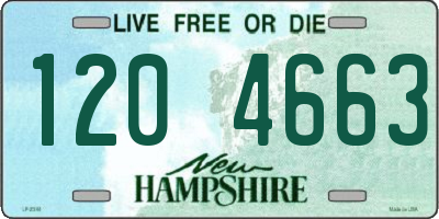 NH license plate 1204663