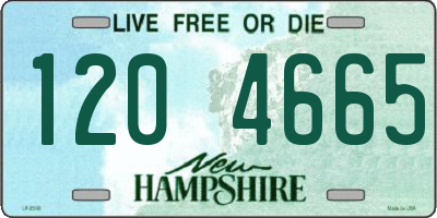 NH license plate 1204665
