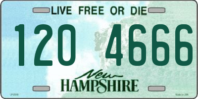 NH license plate 1204666