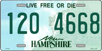 NH license plate 1204668