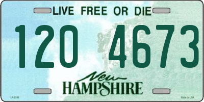 NH license plate 1204673