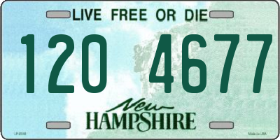 NH license plate 1204677