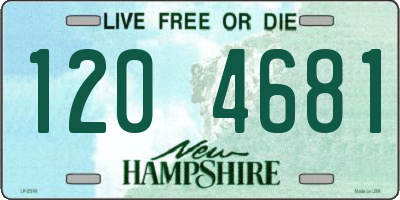 NH license plate 1204681