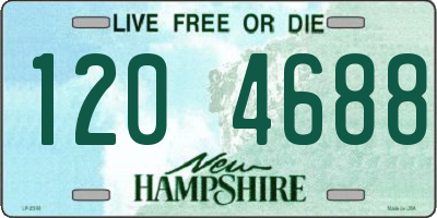 NH license plate 1204688