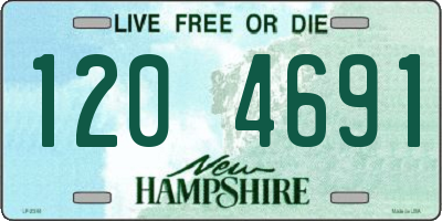 NH license plate 1204691