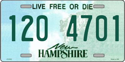 NH license plate 1204701