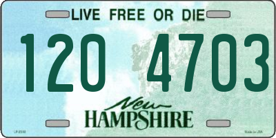 NH license plate 1204703